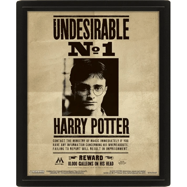 Harry Potter - (Potter/Sirius) 10 x 8" - 3D Lenticular Poster (Framed) - Magic Dreams Store