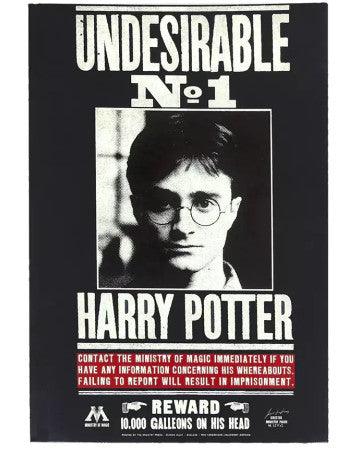 Notebook Potter Undesirable A5 - HARRY POTTER - Magic Dreams Store