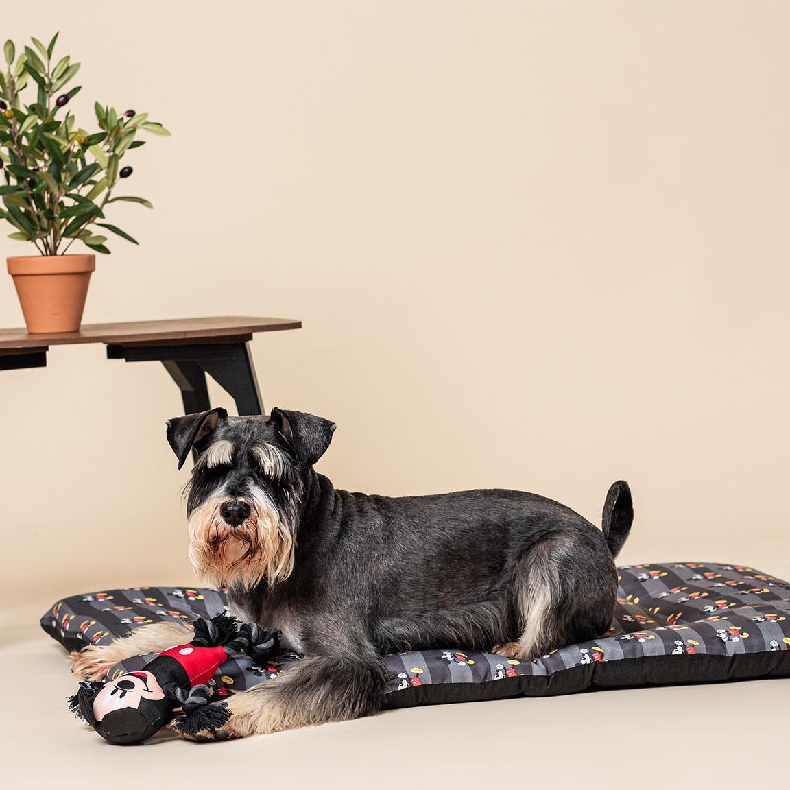 Cuscino materasso per cani - MICKEY - Magic Dreams Store